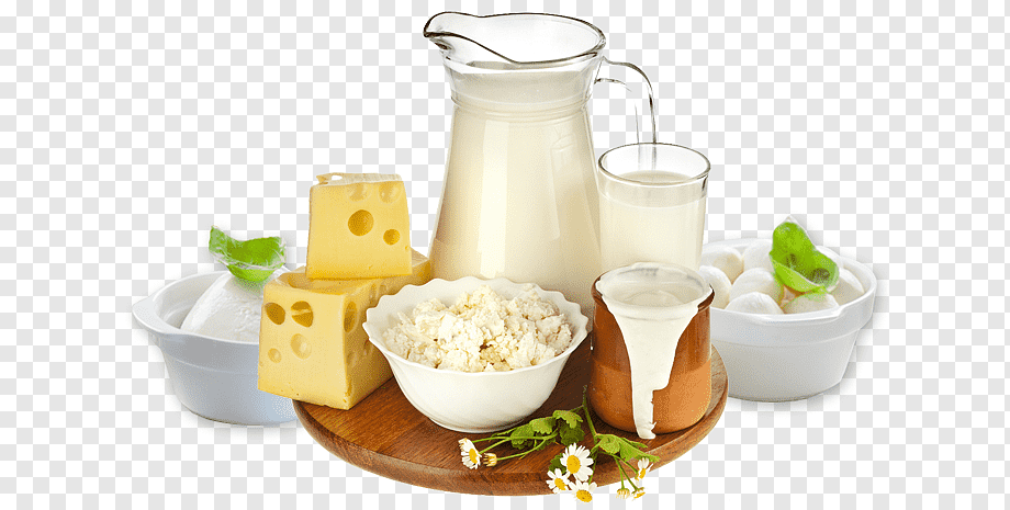 Dairy